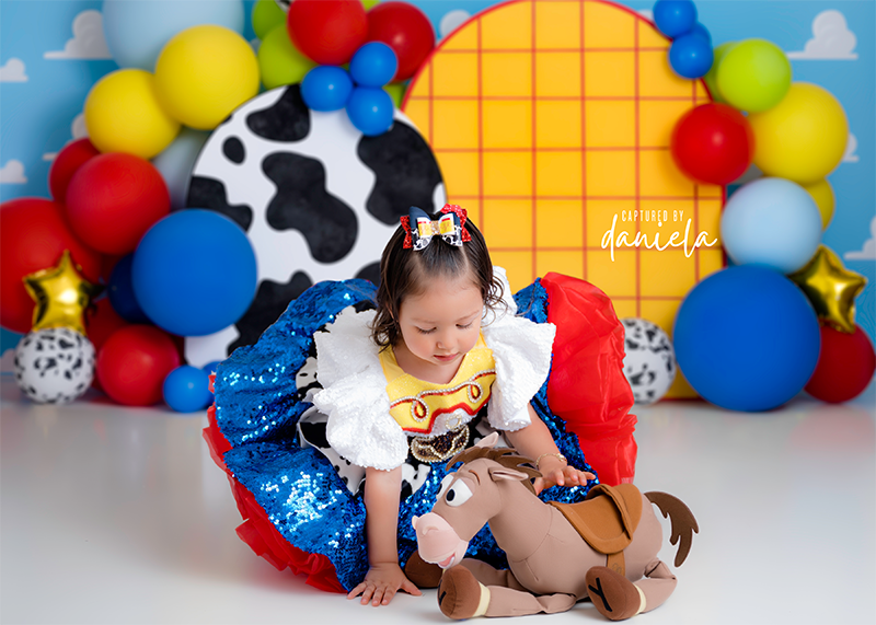 A Story About Toys - HSD Photography Backdrops