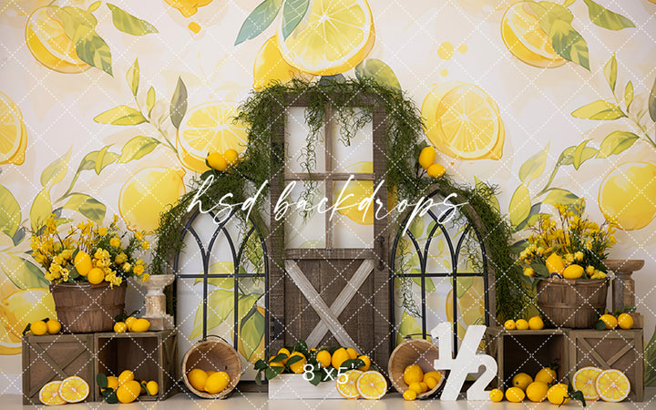 1/2 Dozen Lemons - HSD Photography Backdrops