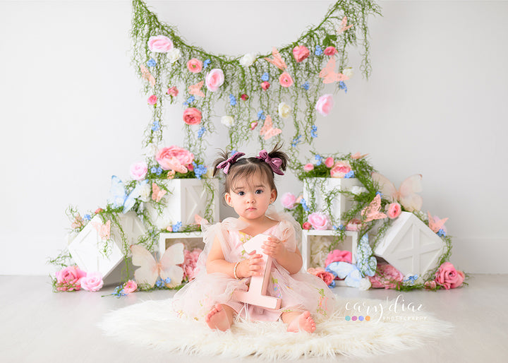 Beautiful Butterflies - HSD Photography Backdrops