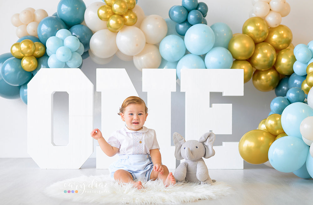 ONE Block Letters - HSD Photography Backdrops