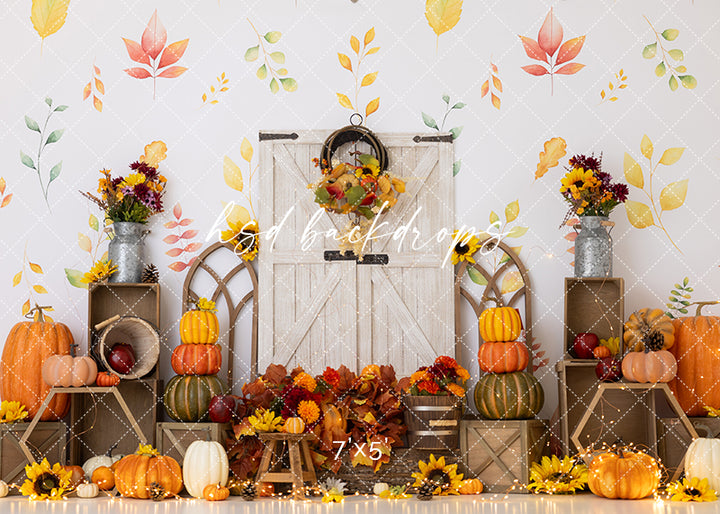 Sweet Little Pumpkin - HSD Photography Backdrops
