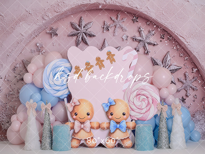 Gingerbread Christmas Cake Smash - HSD Photography Backdrops