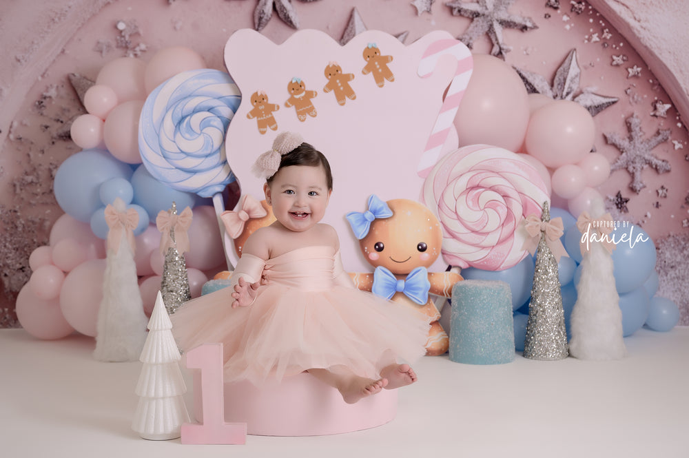 Gingerbread Christmas Cake Smash - HSD Photography Backdrops