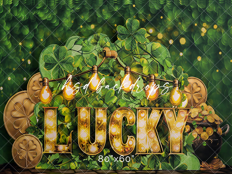 Lucky One - HSD Photography Backdrops