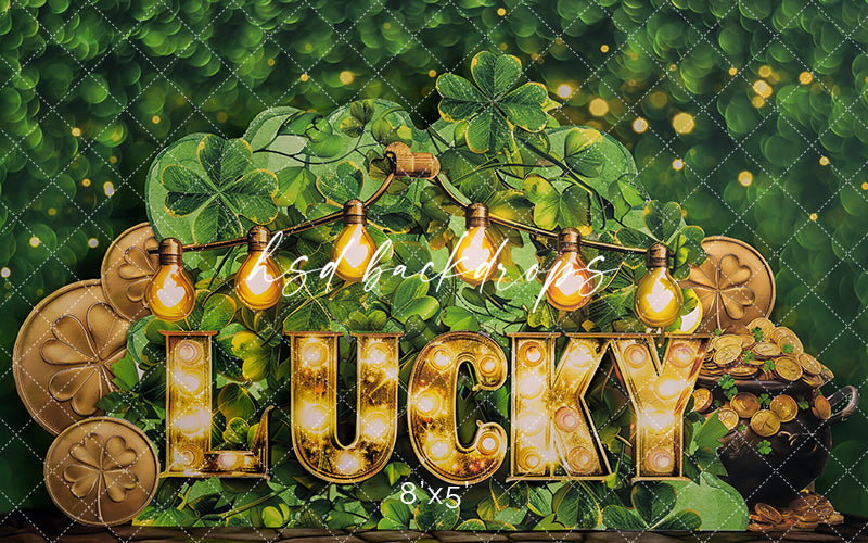Lucky One - HSD Photography Backdrops