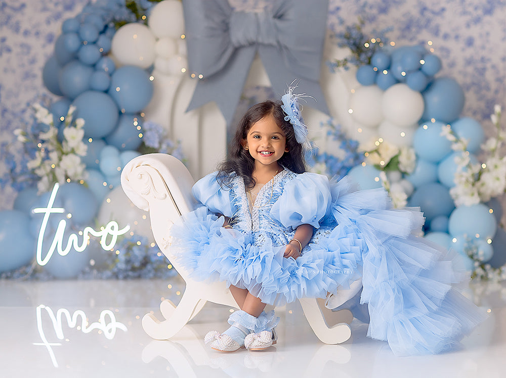 Blue Toile & Balloons - HSD Photography Backdrops