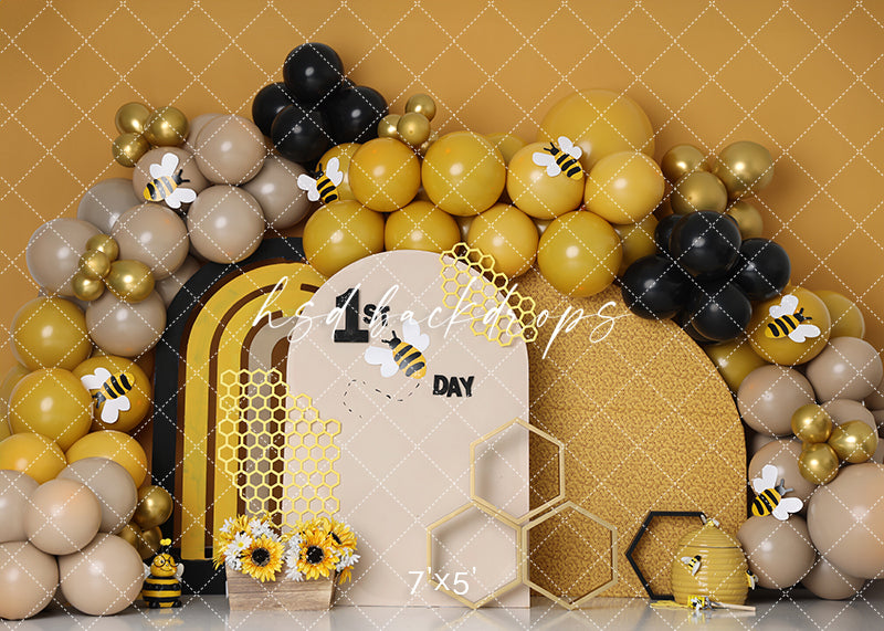 1st Bee Day Cake Smash - HSD Photography Backdrops