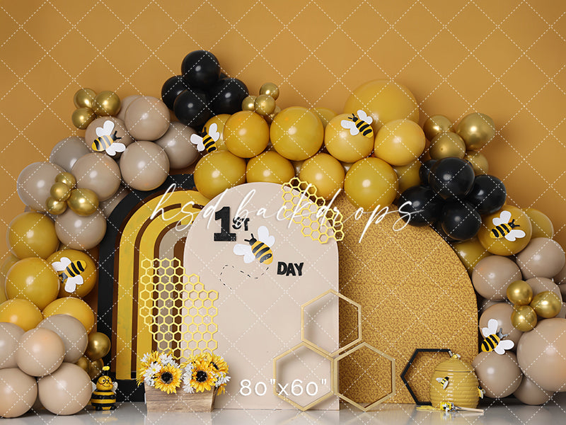1st Bee Day Cake Smash - HSD Photography Backdrops