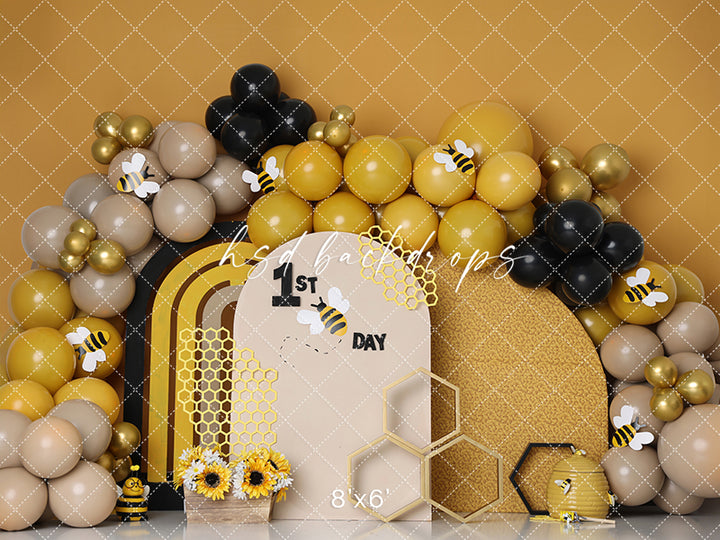 1st Bee Day Cake Smash - HSD Photography Backdrops