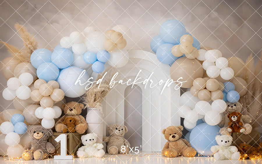 Beary First Birthday Cake Smash - HSD Photography Backdrops