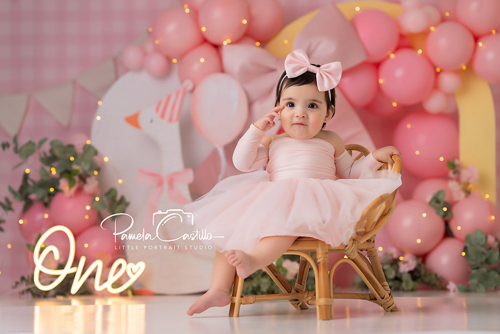Silly Goose theme 1st Birthday Cake Smash Backdrop for Girls