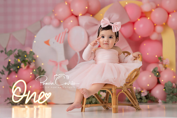 Silly Goose theme 1st Birthday Cake Smash Backdrop for Girls