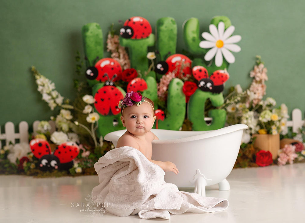 “Gatsby” Clawfoot Bathtub Photo Prop (Free Shipping!) - HSD Photography Backdrops