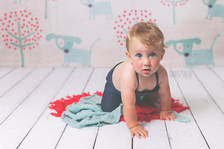 Dog Park - HSD Photography Backdrops