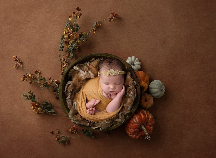 Pumpkin Centerpiece Brown | Lovely Leaves Coll. | Digital - HSD Photography Backdrops