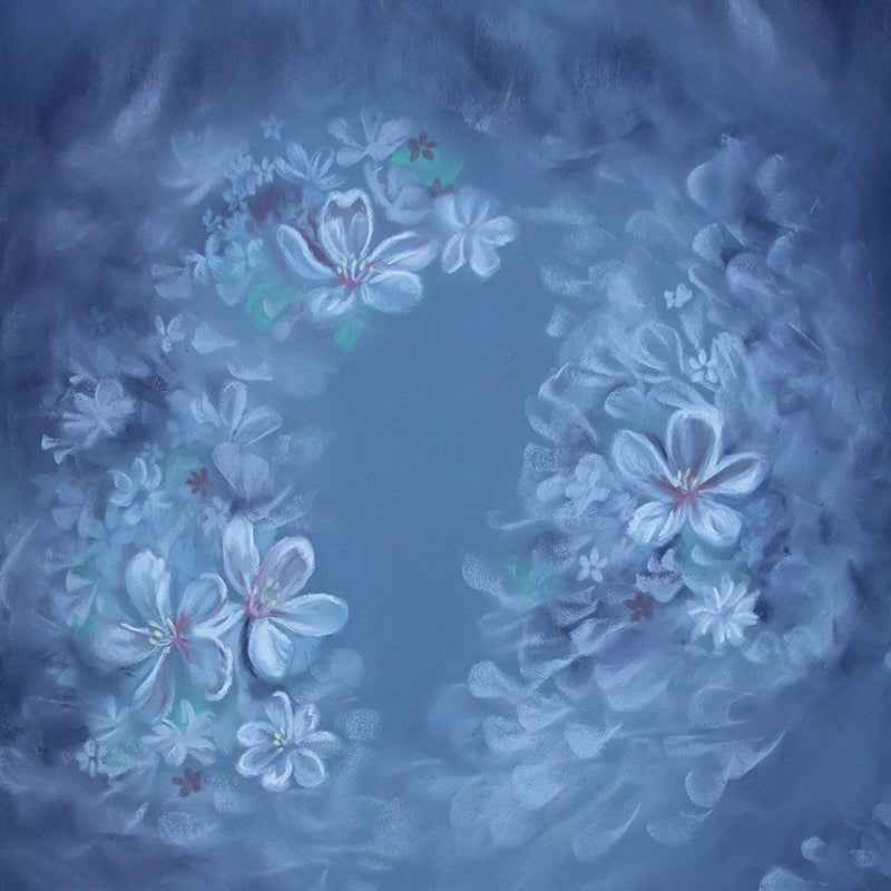 Cinderella - HSD Photography Backdrops