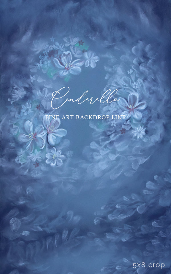 Cinderella - HSD Photography Backdrops