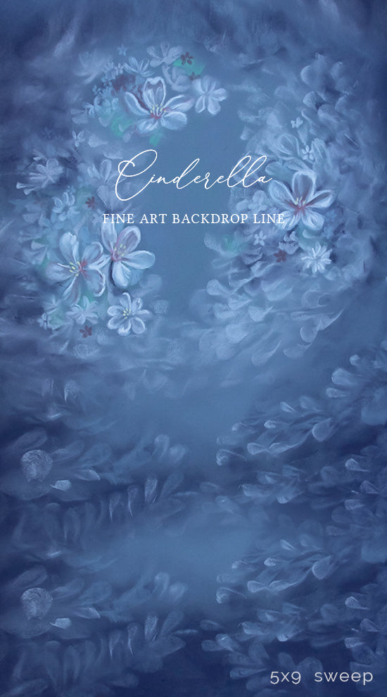 Cinderella - HSD Photography Backdrops