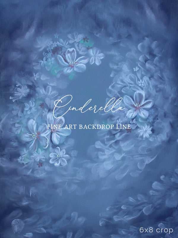 Cinderella - HSD Photography Backdrops