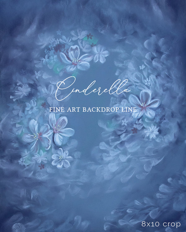 Cinderella - HSD Photography Backdrops