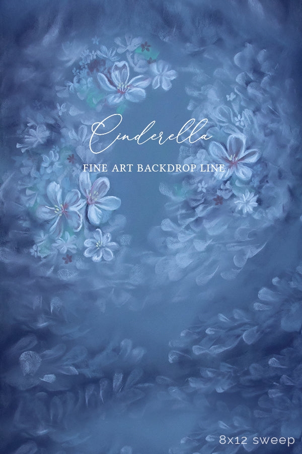 Cinderella - HSD Photography Backdrops