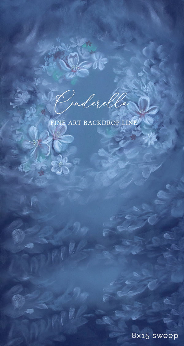 Cinderella - HSD Photography Backdrops