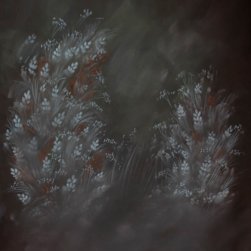 Sleepy Meadow - HSD Photography Backdrops