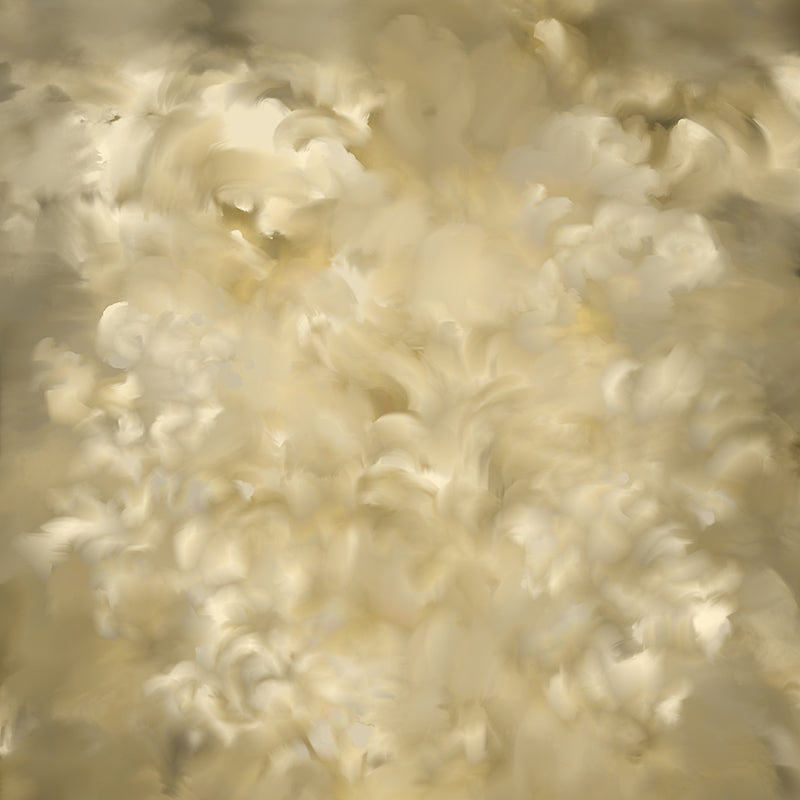Citrine - HSD Photography Backdrops
