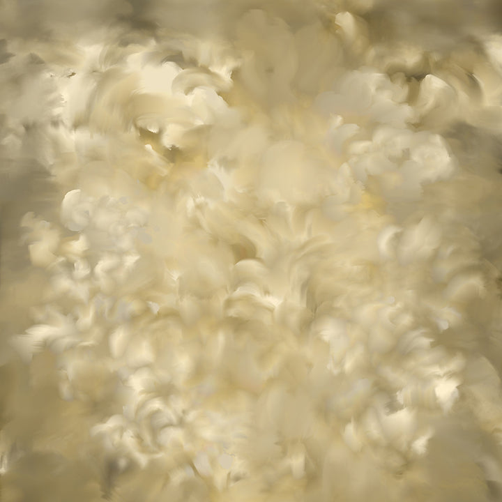 Citrine - HSD Photography Backdrops