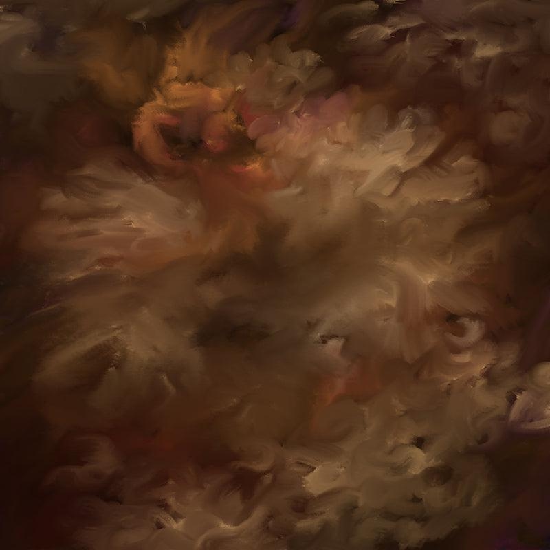 Mahogany - HSD Photography Backdrops