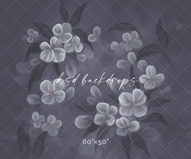 Josie - Littles Line - HSD Photography Backdrops