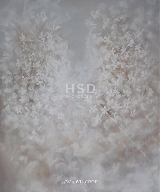 Dainty - HSD Photography Backdrops