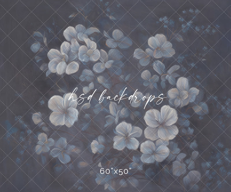 Lainey - Littles Line - HSD Photography Backdrops