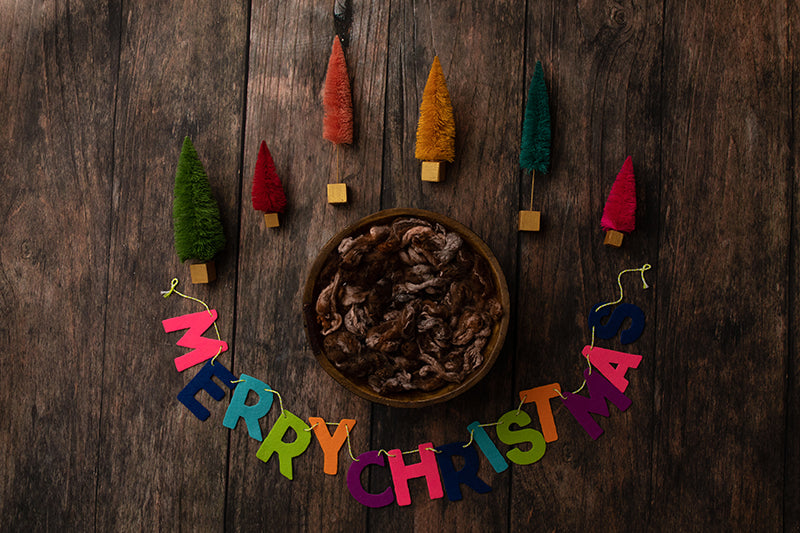 All Merry and Bright | Digital - HSD Photography Backdrops