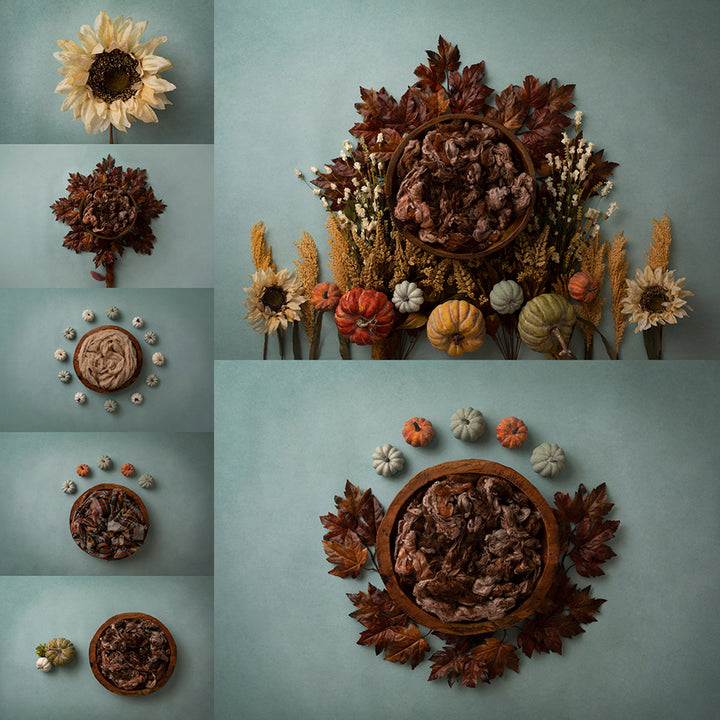 Autumn Days Collection | Digital - HSD Photography Backdrops