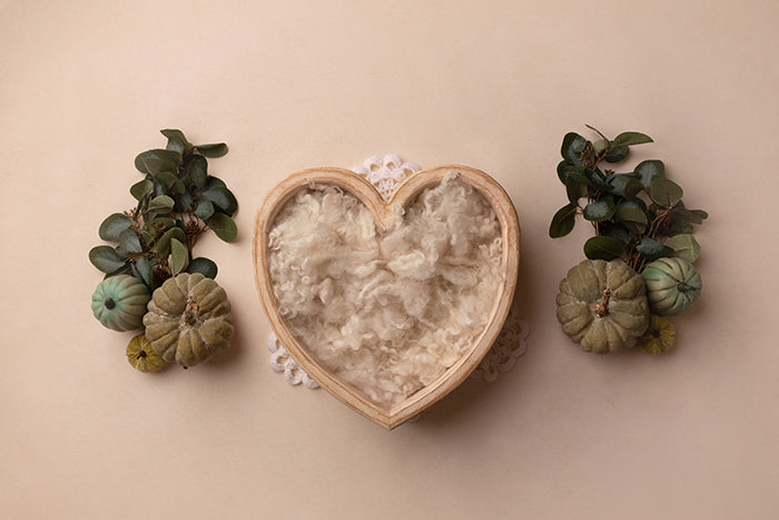 Autumn Delight I | Newborn Digital - HSD Photography Backdrops