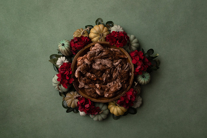 Autumn Glory | Newborn Digital - HSD Photography Backdrops