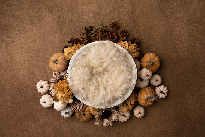 Autumn's Palette | Newborn Digital - HSD Photography Backdrops
