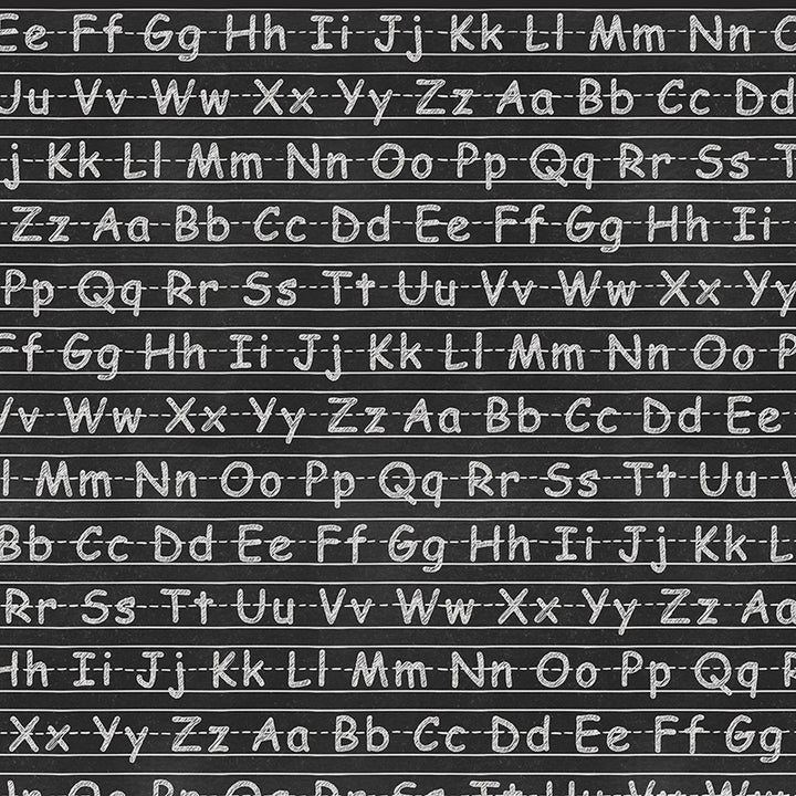 Back to School | Black Chalkboard - HSD Photography Backdrops