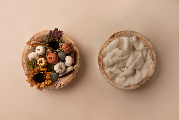Bountiful Basket | Autumn Dreams Coll. | Digital - HSD Photography Backdrops