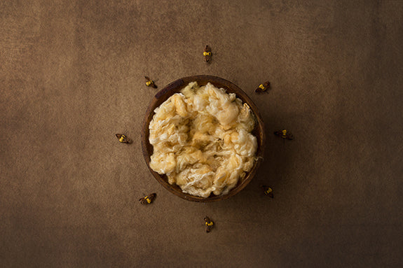 Bumble Bee | Buzz Worthy Coll. | Digital - HSD Photography Backdrops