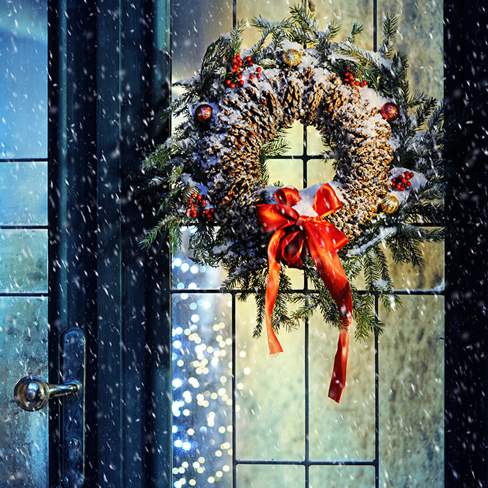 Magical Christmas - HSD Photography Backdrops