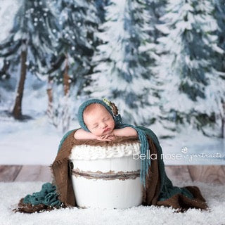 WINTER WOODS - HSD Photography Backdrops