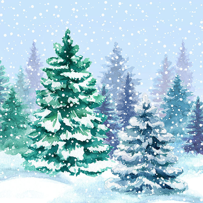 Winter | Watercolor Winter - HSD Photography Backdrops
