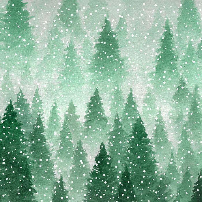 Winter | McCall - HSD Photography Backdrops