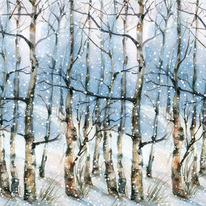 Winter | Winter Landscape - HSD Photography Backdrops