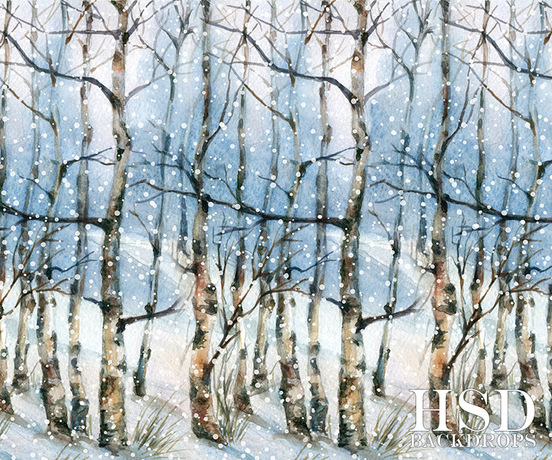 Winter | Winter Landscape - HSD Photography Backdrops