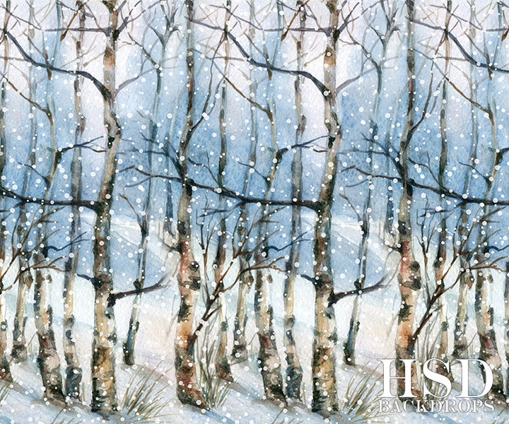 Winter | Winter Landscape - HSD Photography Backdrops