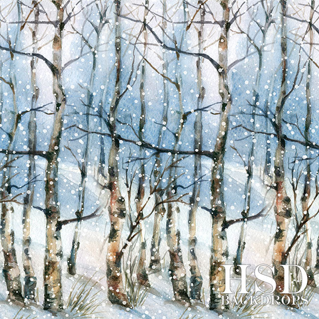 Winter | Winter Landscape - HSD Photography Backdrops