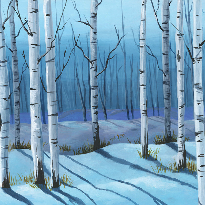Winter Birch Trees - HSD Photography Backdrops
